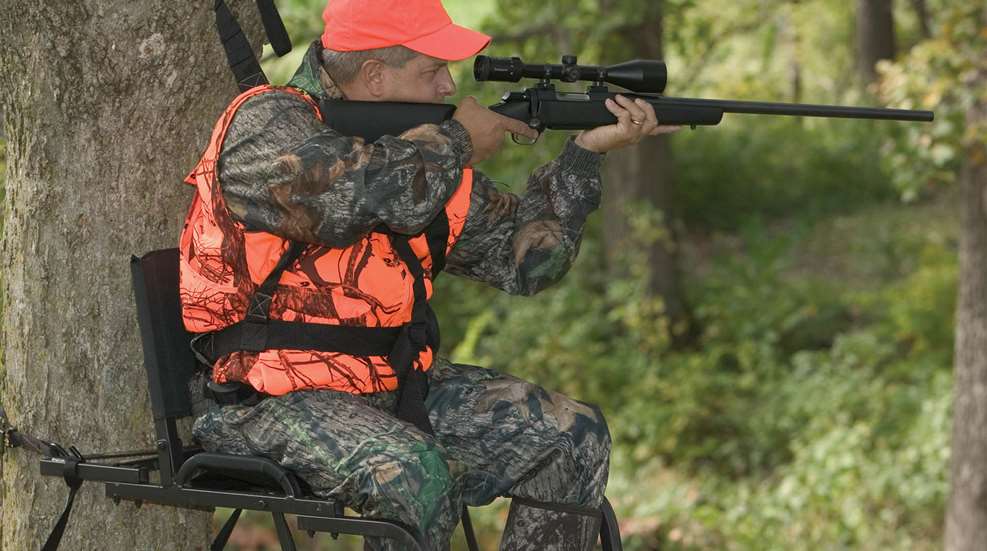 LEDE September Is National Tree Stand Safety Month