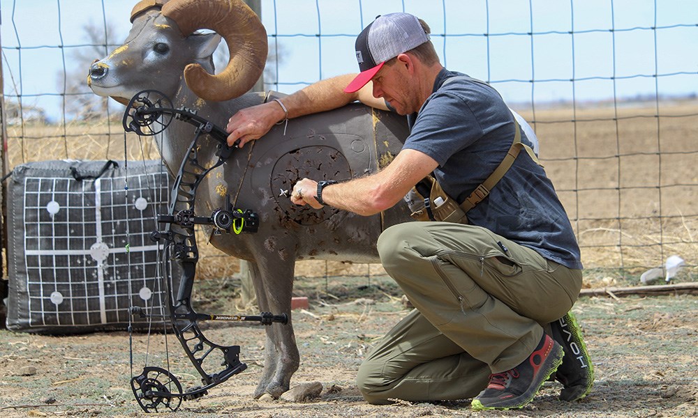 Bowhunter taking target out of 3D sheep target