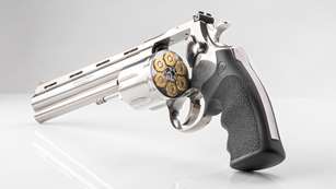2022 GBA HOTY Colt Anaconda Lead