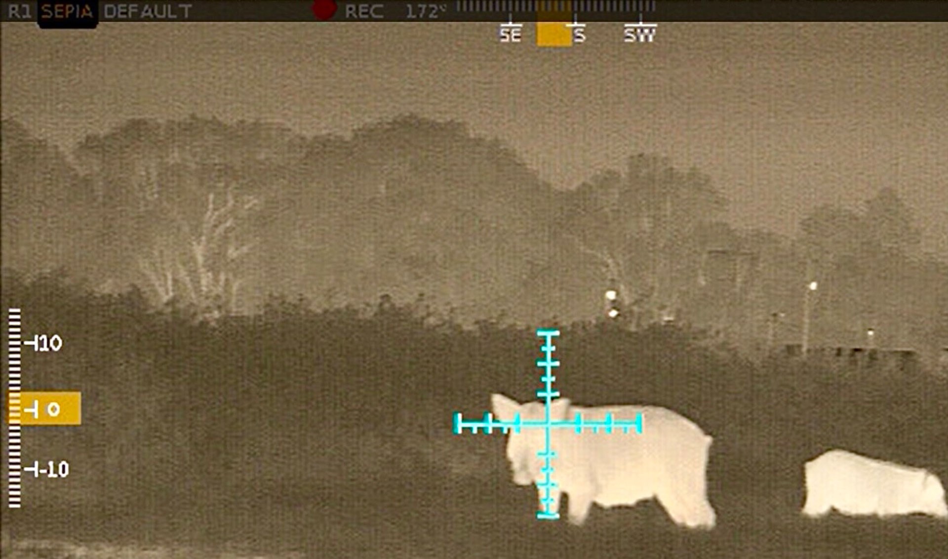 Sight Picture through Armasight