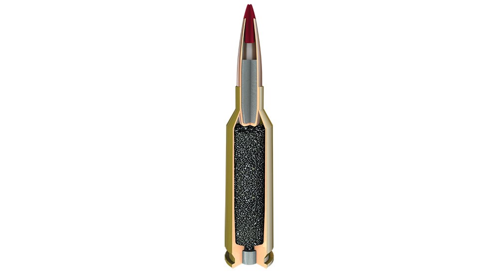 Hornady V-Match ammunition cutaway to show interior of bullet.