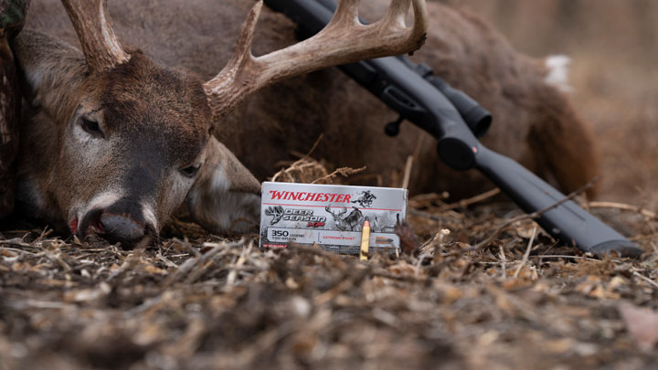Box and cartridge of 350 Legend sitting in foreground, with a dead buck in the background