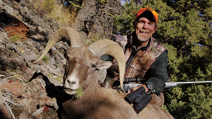 Hunter with Wyoming Rocky Mountain Bighorn Ram