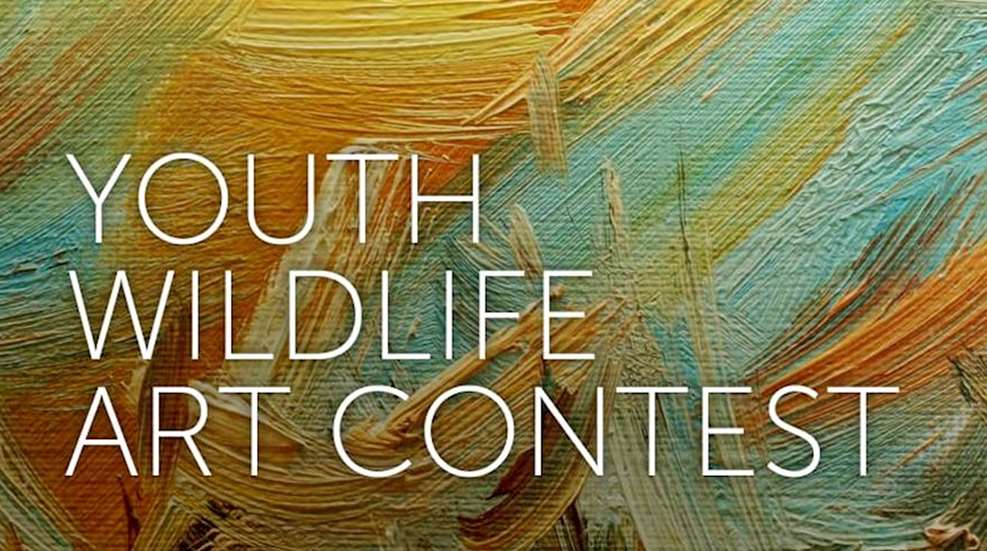 Youth Wildlife Art Contest