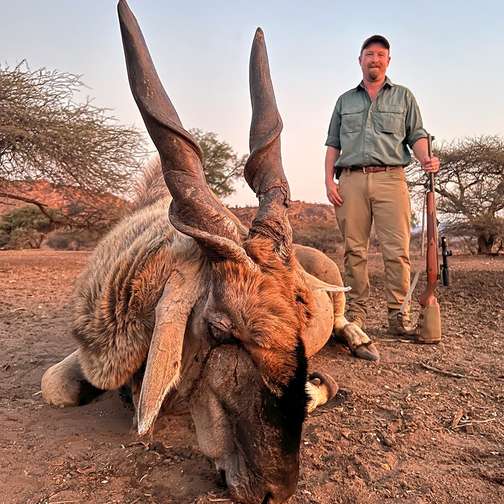 Eland bull with hunter standing in background in South Africa.