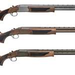 MAIN Acrius Pointer Cerakote