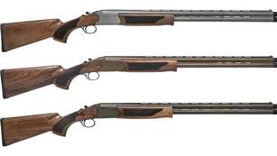 MAIN Acrius Pointer Cerakote