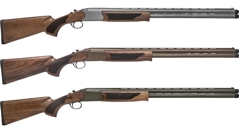 MAIN Acrius Pointer Cerakote