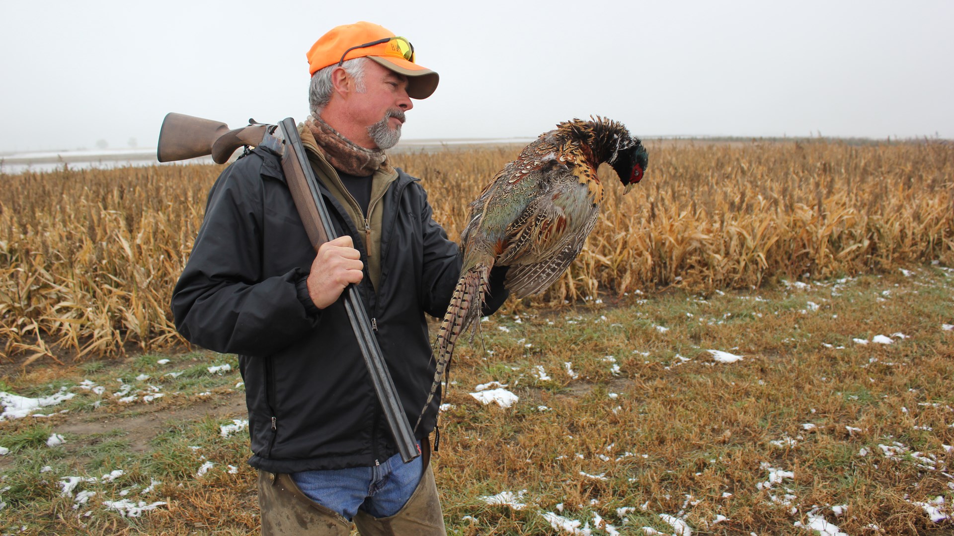 Upland Hunter examining pheasant