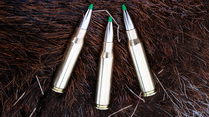 Norma EcoStrike .308 Winchester Ammunition on Wild Boar