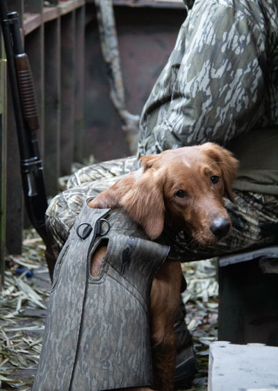 What type of hunter?