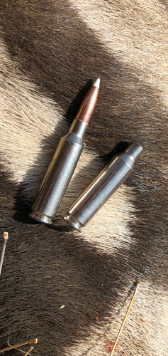 A 6.5 Creedmoor cartridge and shell lay atop an animal skin.