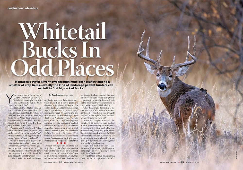 Article in American Hunter magazine titled Whitetail Bucks in Odd Places featuring picture of large whitetail buck.