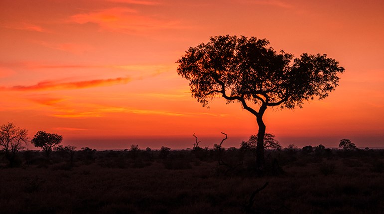 How To Plan A First Hunt in Africa | An Official Journal Of The NRA