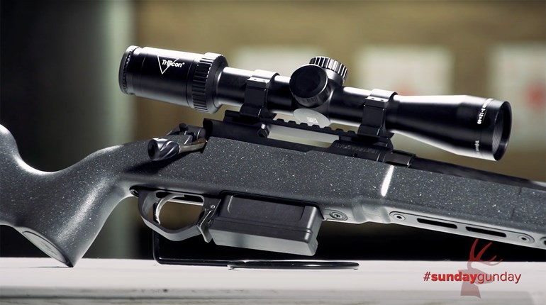 Top Bear Rifles and Loads | An Official Journal Of The NRA