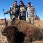 main-buffalo-hunt.jpg