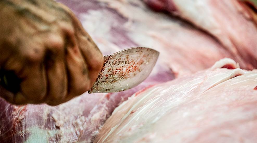 Extreme Meat Recovery: How To Keep Game Meat Clean, Dry And Cold | An  Official Journal Of The Nra