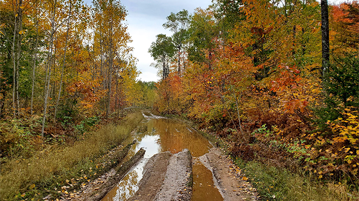 Dirt Road in Upper Peninsula of Michigan