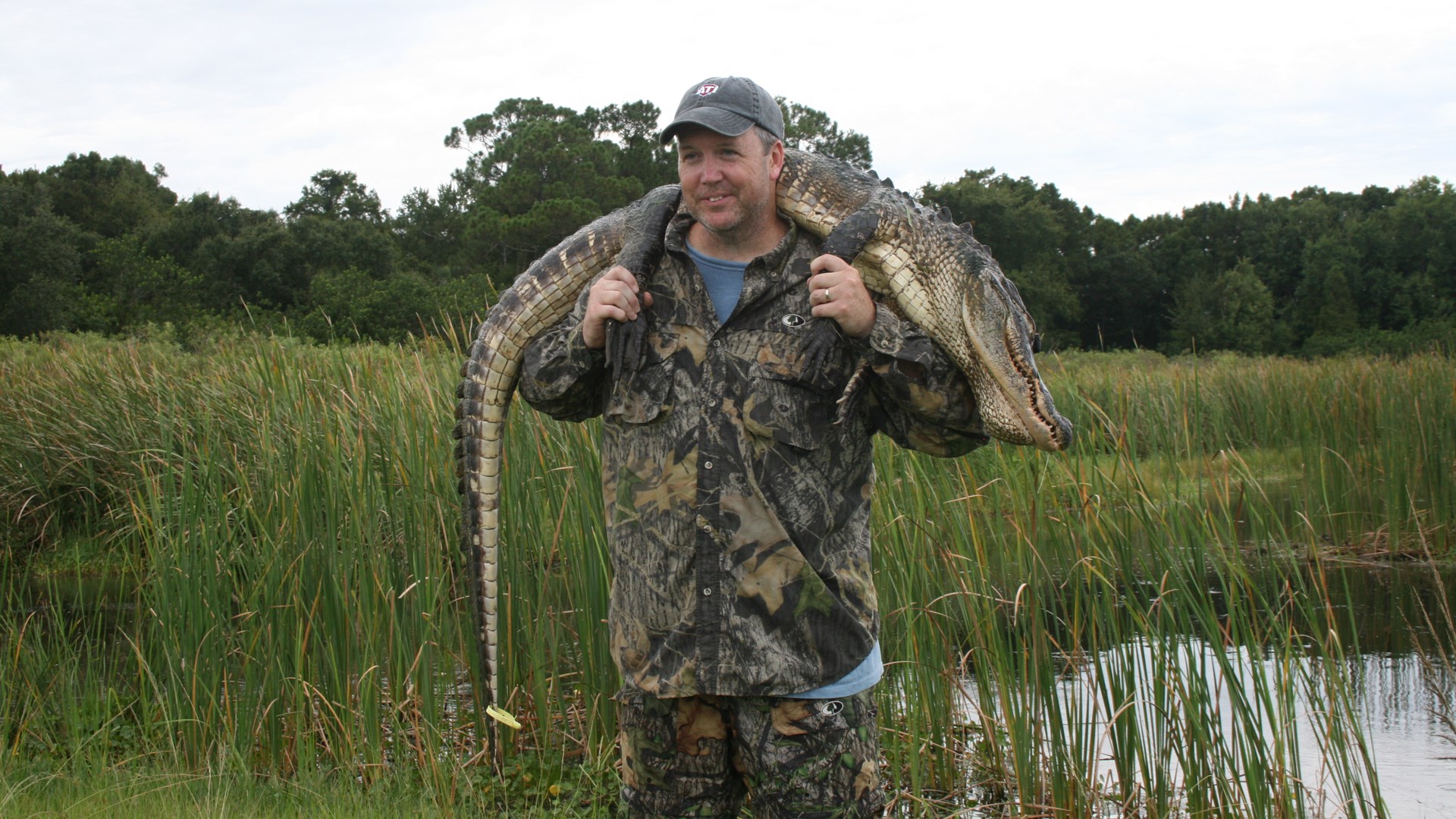 Gator
