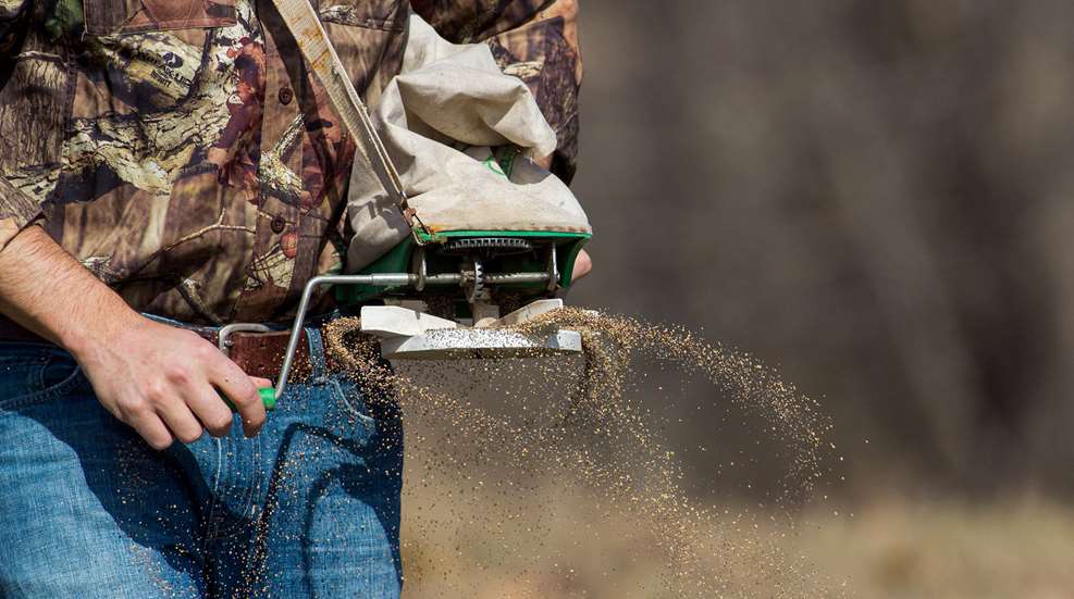 Summer Chores For Fall Food Plots Lead