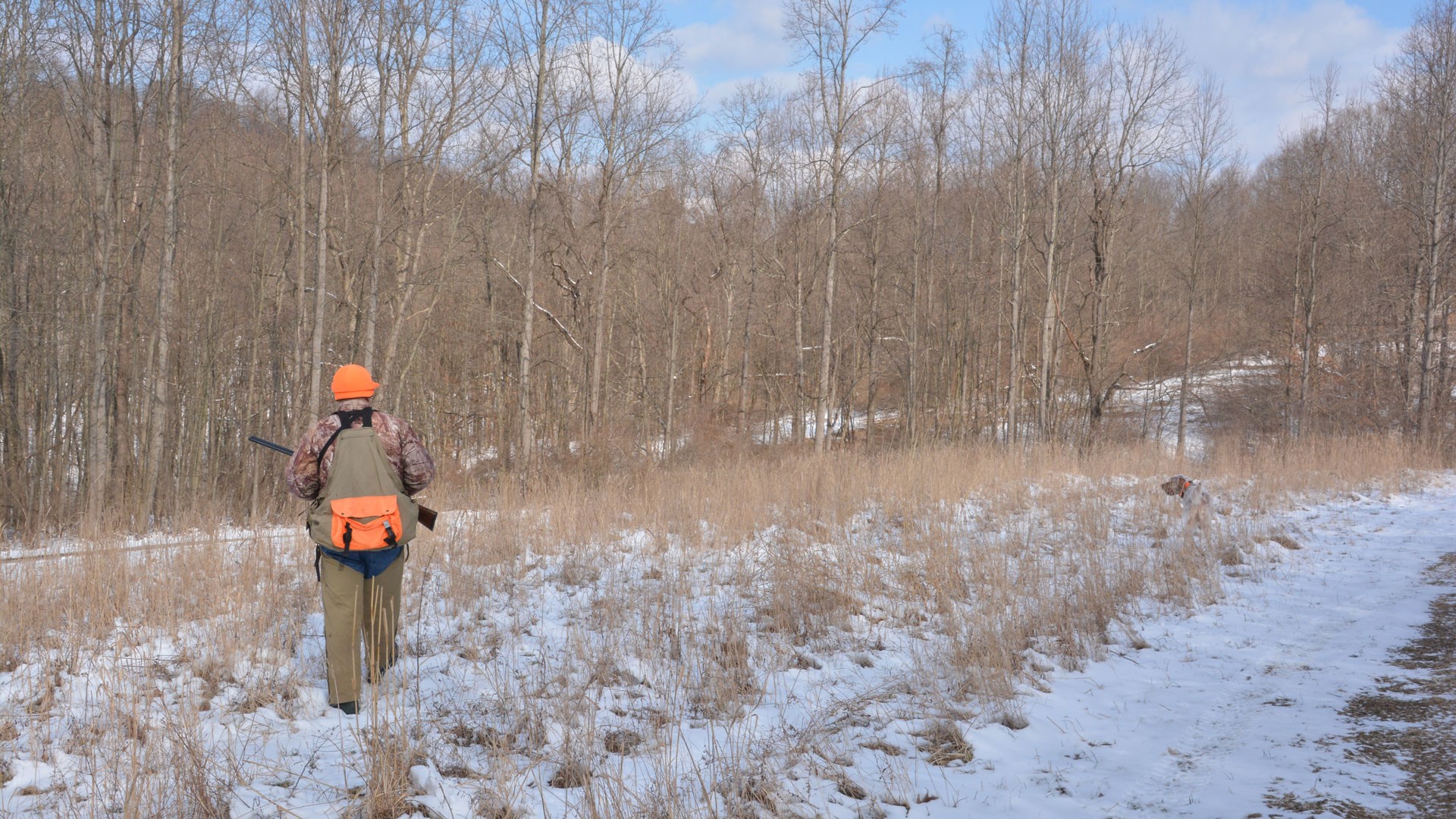 Hunter walking fields with dog