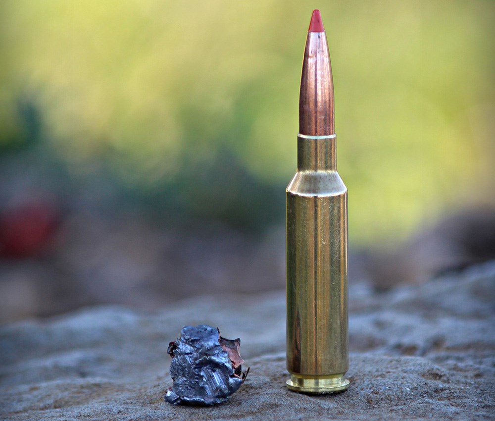 Federal Fusion Tip ammunition cartridge next to mushroomed bullet.
