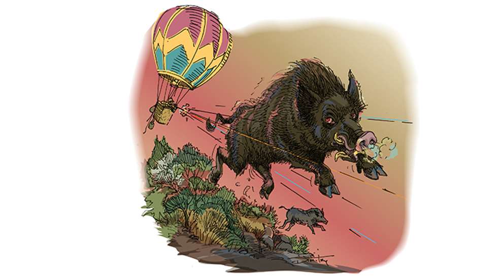 hog_hunting_texas_balloons.jpg