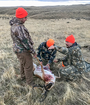 Hunters Gutting Pronghorn