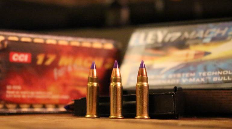 Behind the Bullet: .17 Mach 2 | An Official Journal Of The NRA