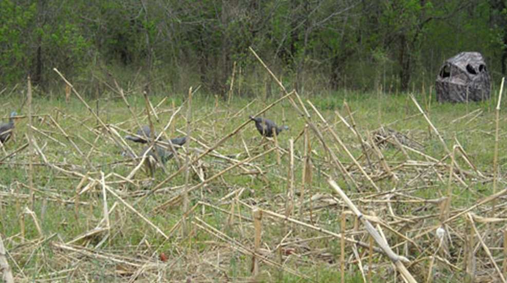 2012312125640-blindhunting2_f.jpg