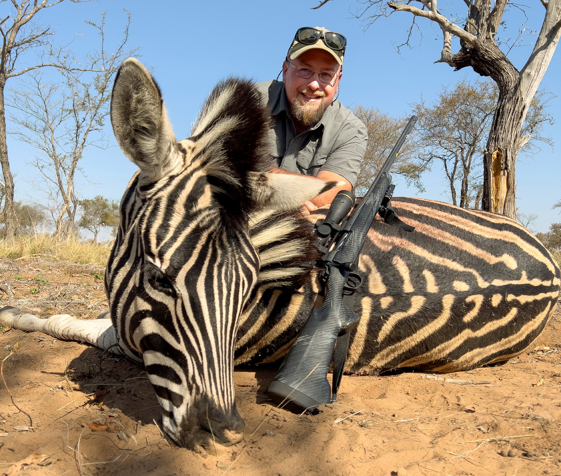 Zebra