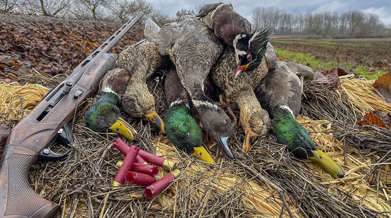 Duck Hunting with a Sub Gauge | An Official Journal Of The NRA