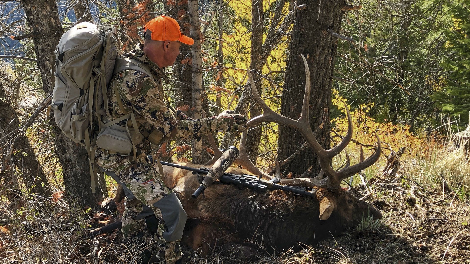 Hunter with elk