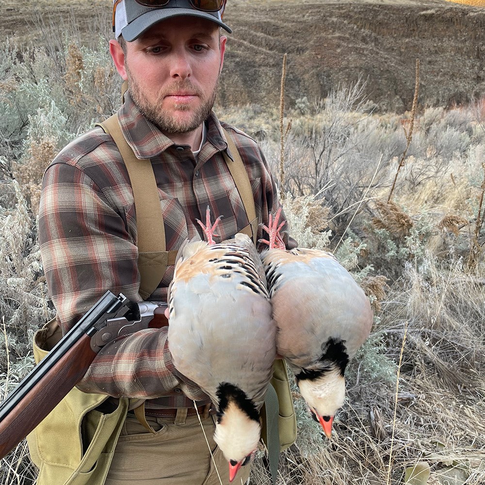 Male wearing brown plaid and suspenders holding two chukar birds.
