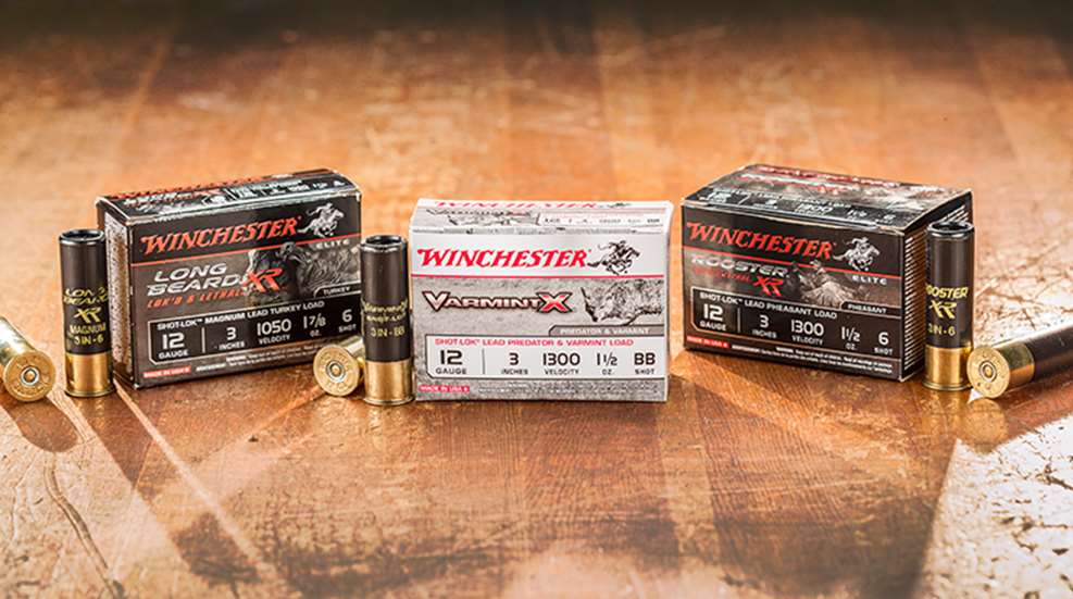 winchester_3_years_shot_lok_f.jpg