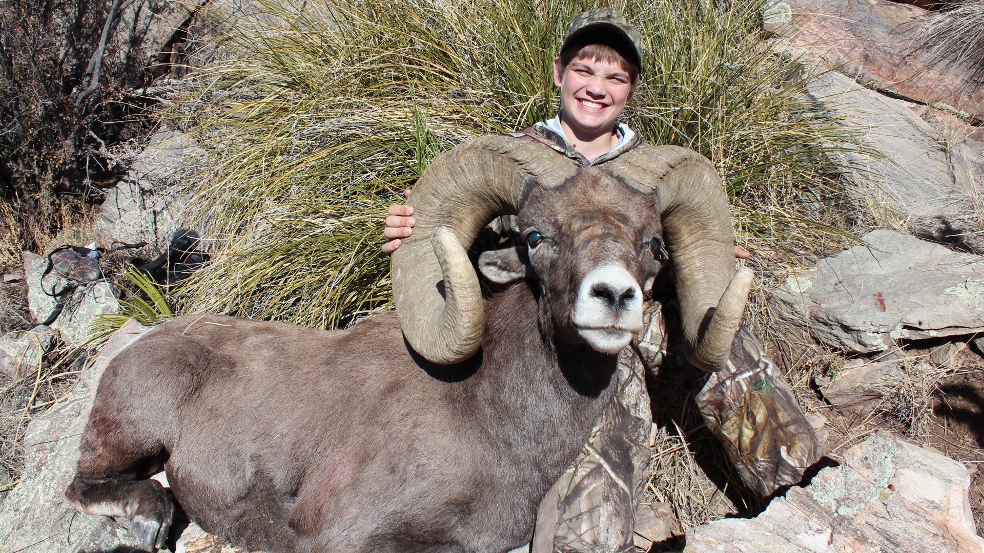 Boy holding massive ram