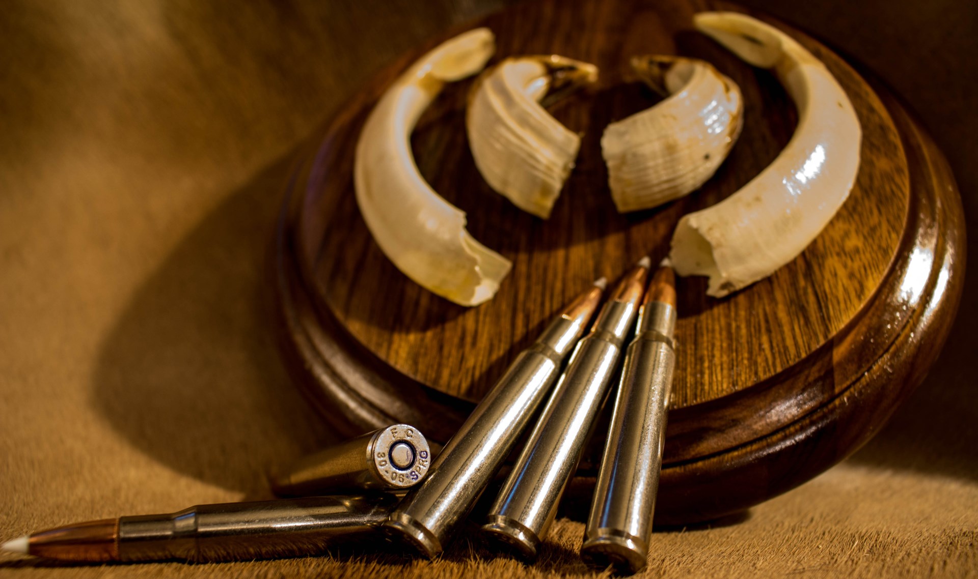 .30-06 Springfield