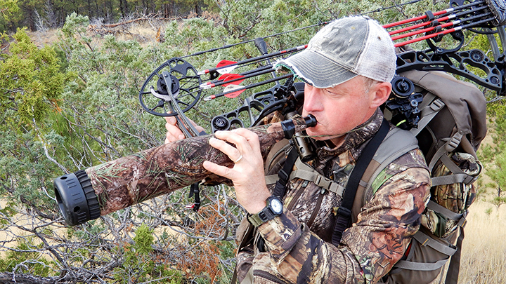 Bowhunter blowing bugle call