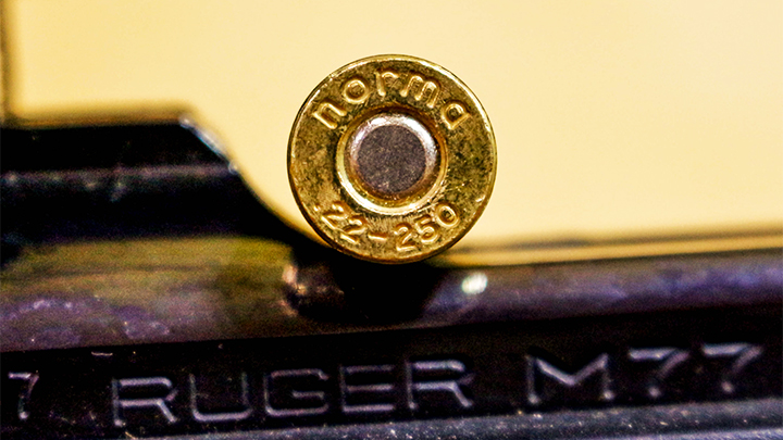 Norma .22-250 Remington Ammunition Case Head