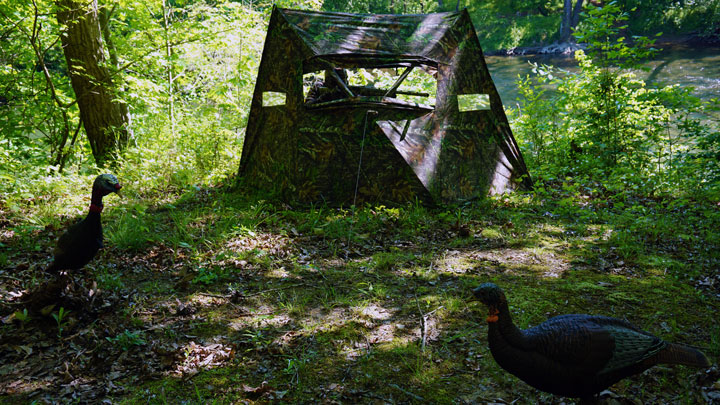 Hunter in blind by riverside