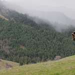 Calling The Foggy Hills
