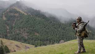 Calling The Foggy Hills