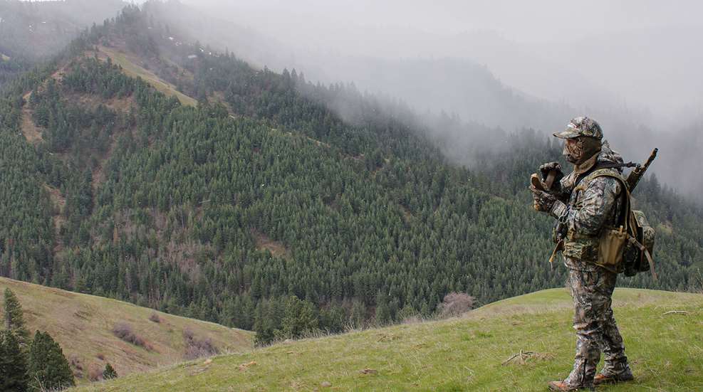 Calling The Foggy Hills