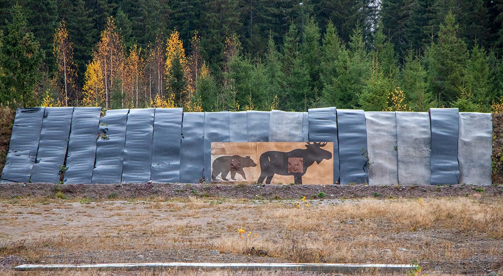 Paper moose and bear targets set up on backstop.