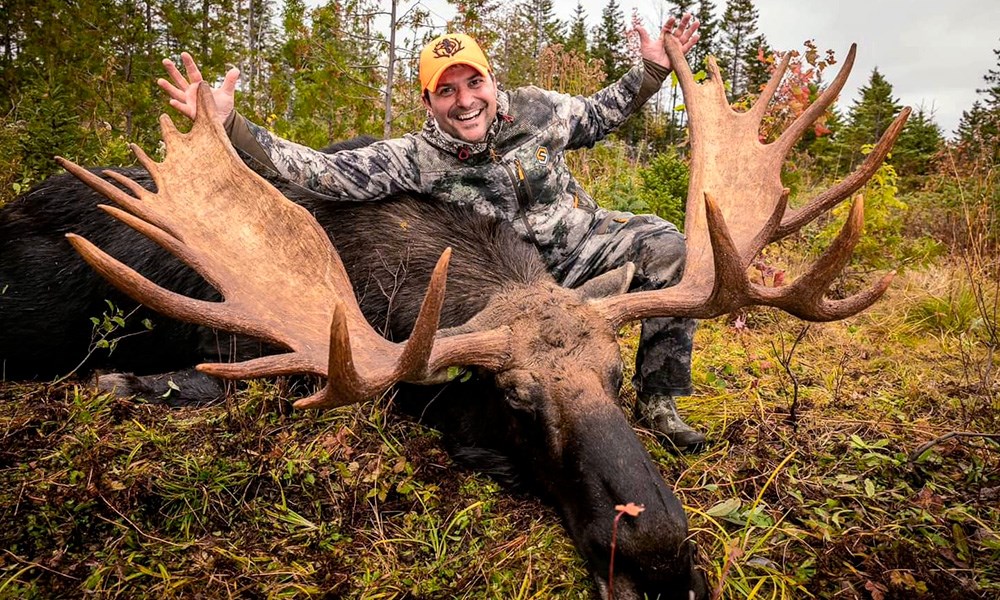 Hunter with bull moose in Maine.