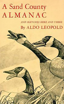 Cover of A Sand County Almanac by Aldo Leopold