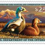 Lead Usfws Duck Stamp 1
