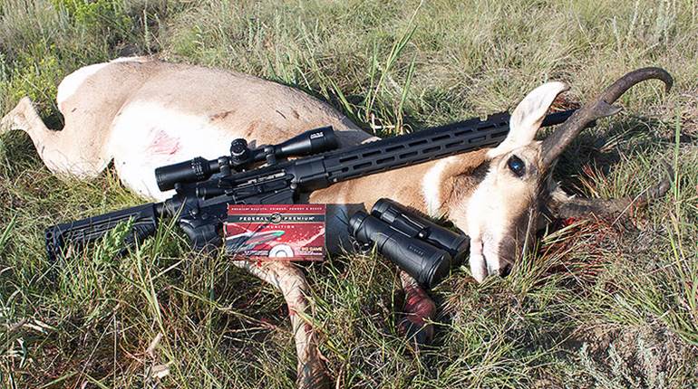 Photos: New Mexico Antelope with Federal Premium, Savage Arms and Bushnell | An Official Journal Of The NRA