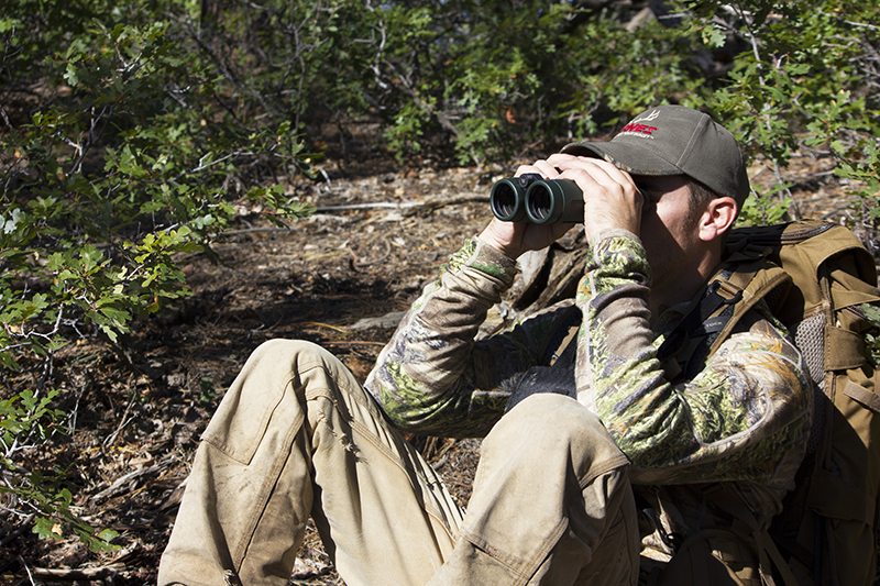 Glassing for Bruins