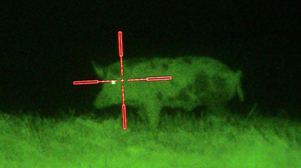20111118145135-hog2_f.jpg